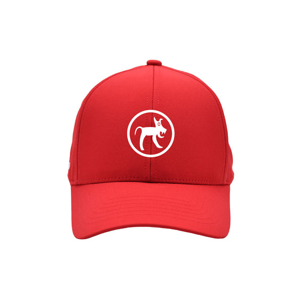 FlyLite Lo-Pro Hat | McGill University MUT Fan Store Spring 2026