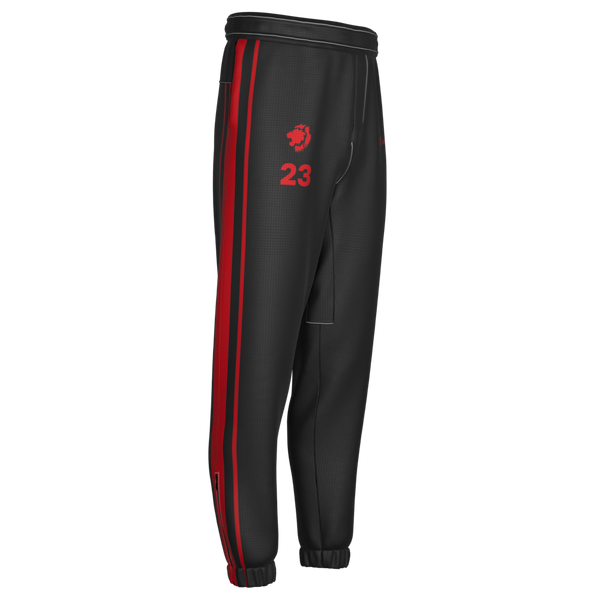 Full Sub GridTech Pants | York University Summer 2026